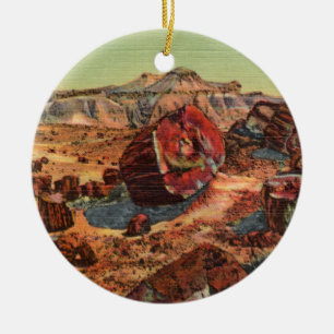 Ornamento de Petrified Forest Vintage Arizona