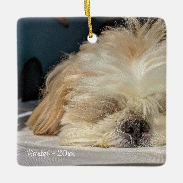 Ornamento de pimienta de perro Mascota personaliza (Anverso)