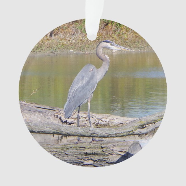 Ornamento de plástico de doble cara de Blue Heron (Anverso)