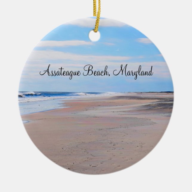Ornamento de playa de Assateague (Frente)