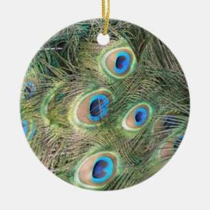 Ornamento de plumas de pavo real