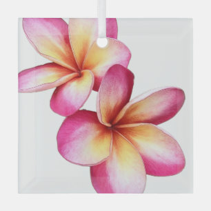 Ornamento de Plumeria Rosa