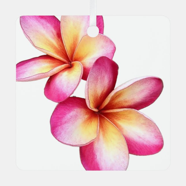Ornamento de Plumeria Rosa (Anverso)