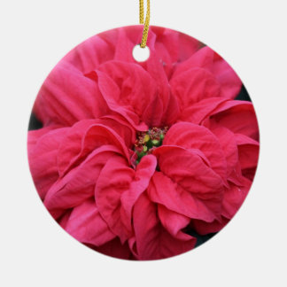 Ornamento de Poinsettia de vacaciones rojas