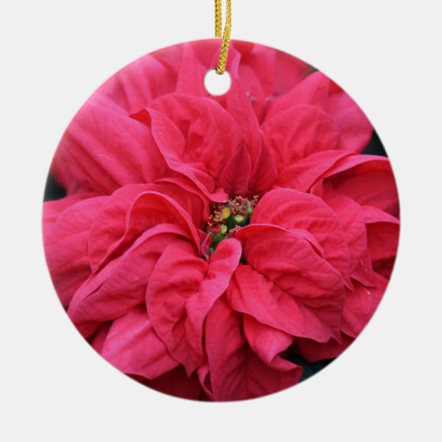 Ornamento de Poinsettia de vacaciones rojas (Frente)