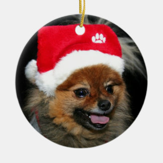 Ornamento de Pomeranian del navidad