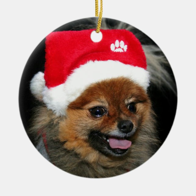 Ornamento de Pomeranian del navidad (Frente)