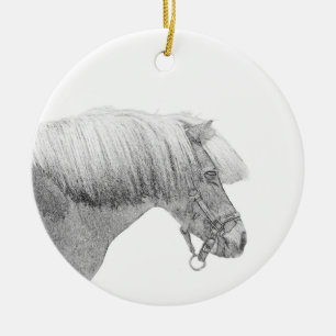 Ornamento de Pony