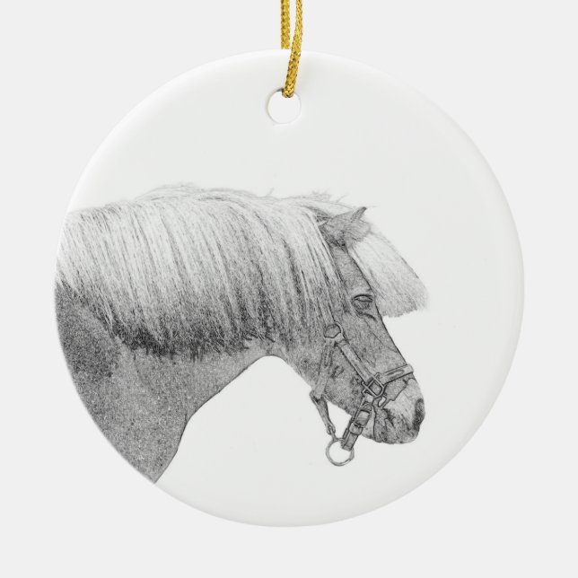 Ornamento de Pony (Frente)