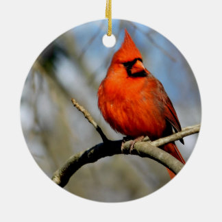 Ornamento de primer Escudo del Cardenal Sunny