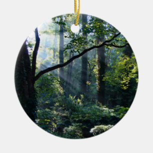 Ornamento de primera luz