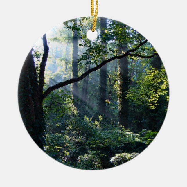 Ornamento de primera luz (Frente)