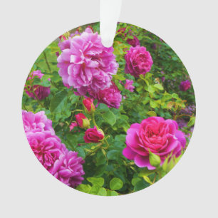 Ornamento de princesa Anne Rose #2-1