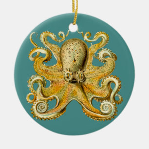 ornamento de pulpo