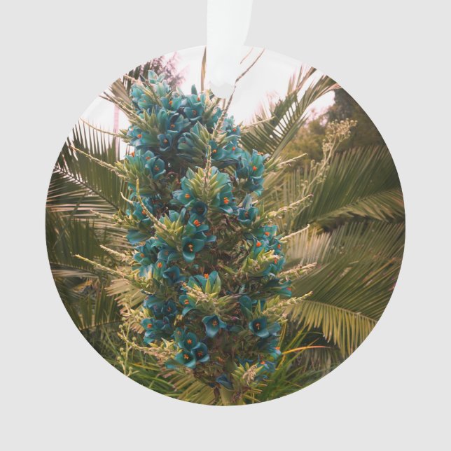 Ornamento de Puya Berteroniana #1 (Anverso)