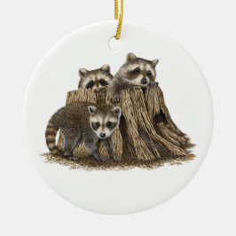 Ornamento de Raccoons para bebé lindo