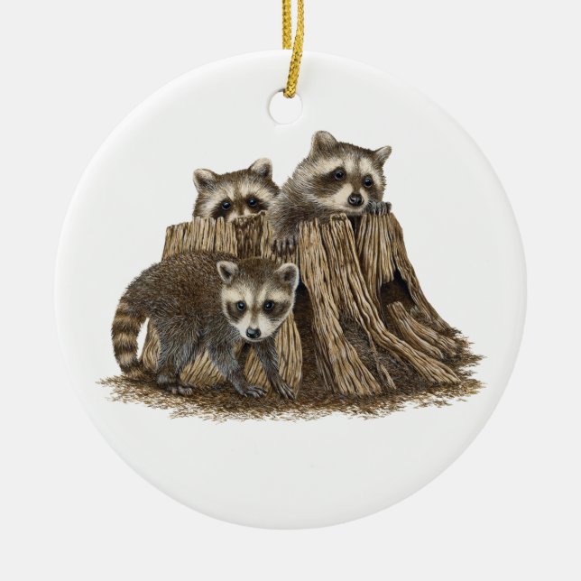 Ornamento de Raccoons para bebé lindo (Frente)