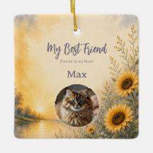 Ornamento de recuerdo personalizado para mascotas