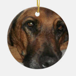 Ornamento de Rhodesian Ridgeback