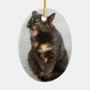 Ornamento de risa del gato de la concha