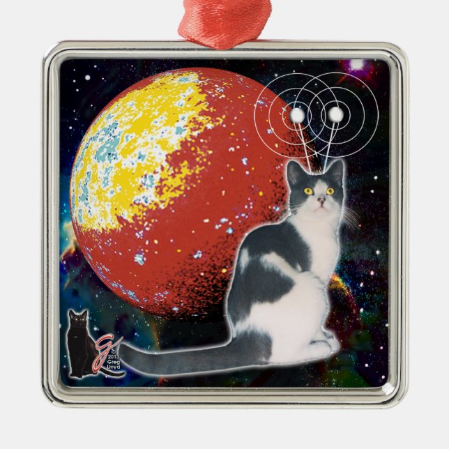 Ornamento de Robo-Cat Hobo (Frente)