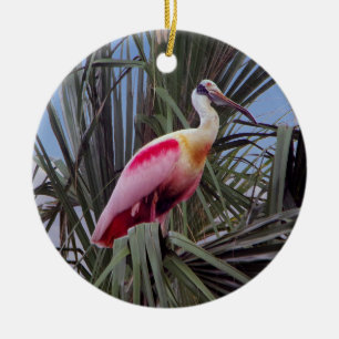 Ornamento de Roseate Spoonbill