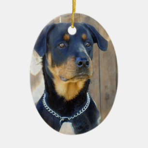 Ornamento de Rottweiler