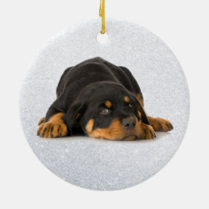 Ornamento de Rottweiler