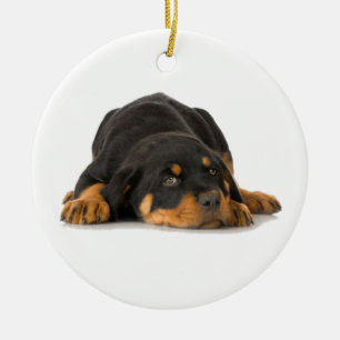Ornamento de Rottweiler