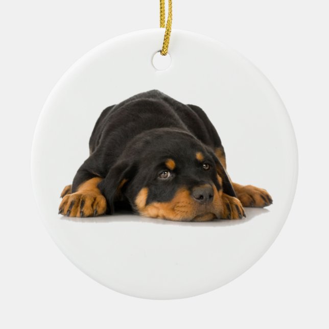 Ornamento de Rottweiler (Frente)