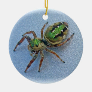 Ornamento de salto verde del navidad de la araña