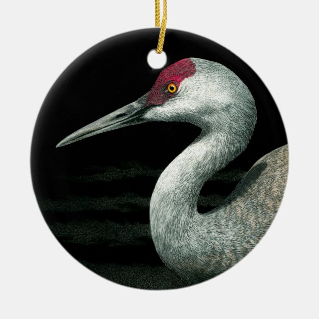 Ornamento de Sandhill Crane - Grassland Grace (Frente)