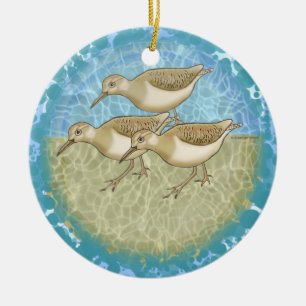 Ornamento de sandpipers