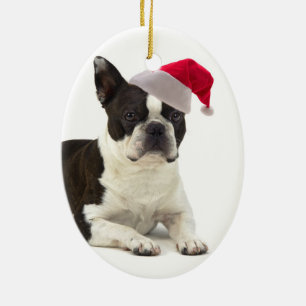 Ornamento de Santa Boston Terrier