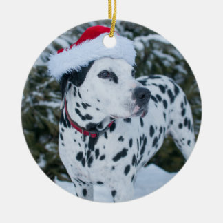Ornamento de Santa del Dalmatian