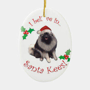 Ornamento de Santa Kees