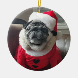 Ornamento de Santa Pickles