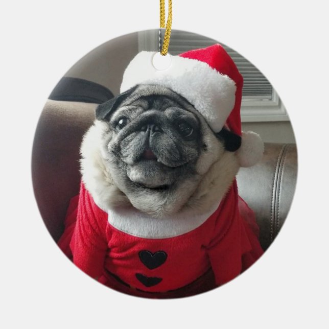 Ornamento de Santa Pickles (Frente)