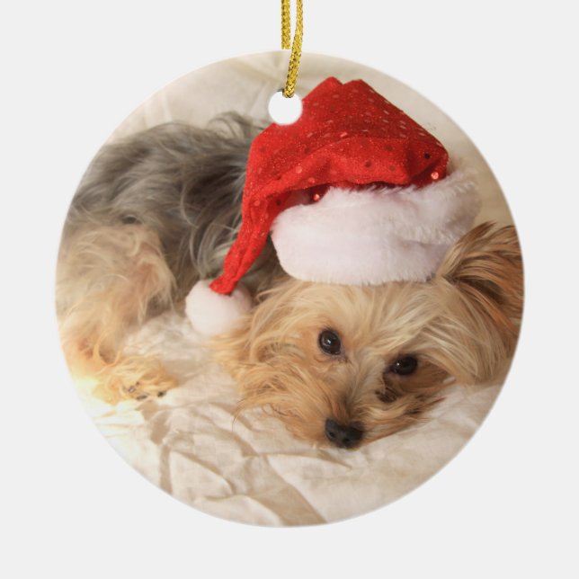 Ornamento de Santa Yorkie (Frente)