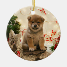 Ornamento de Shiba Inu