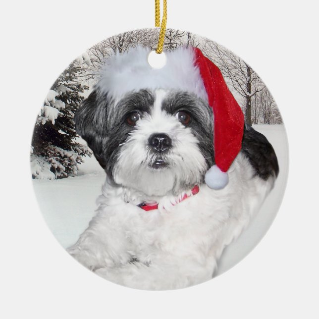 Ornamento de Shih Tzu del navidad (Frente)
