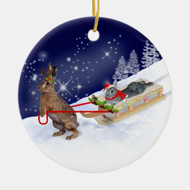 Ornamento de Sleigh Ride (Frente)