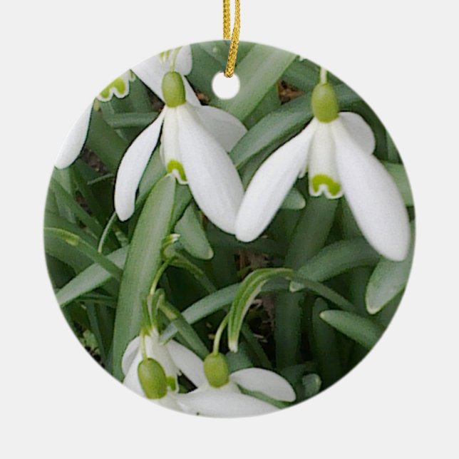 Ornamento de Snowdrops (Frente)