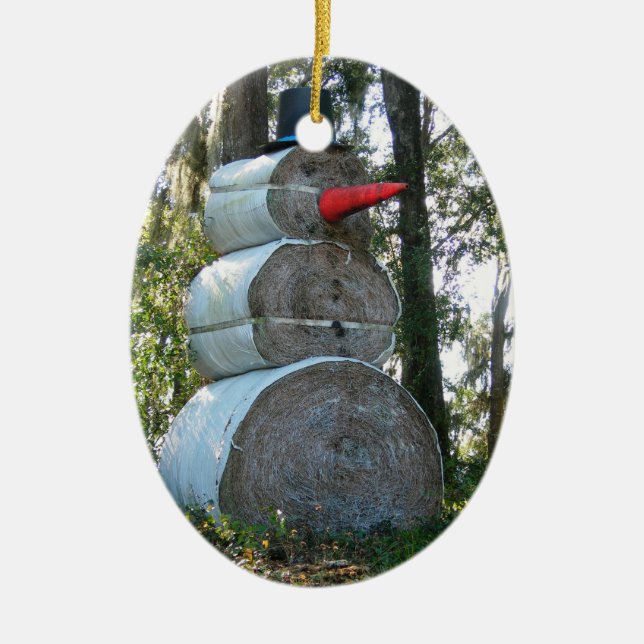 Ornamento de Snowman en Florida (Frente)