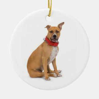 Ornamento de Staffordshire Terrier americano