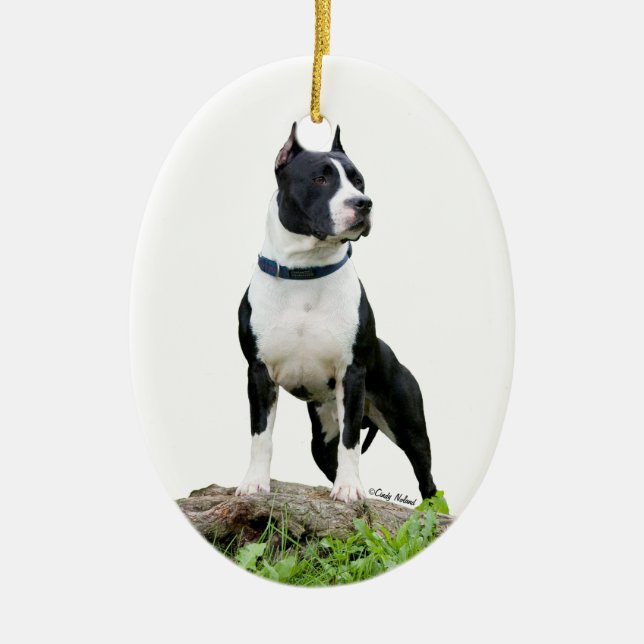 Ornamento de Staffordshire Terrier americano (Frente)