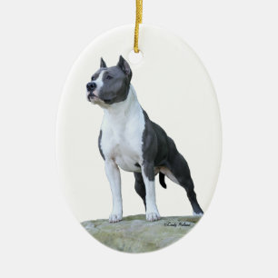 Ornamento de Staffordshire Terrier americano