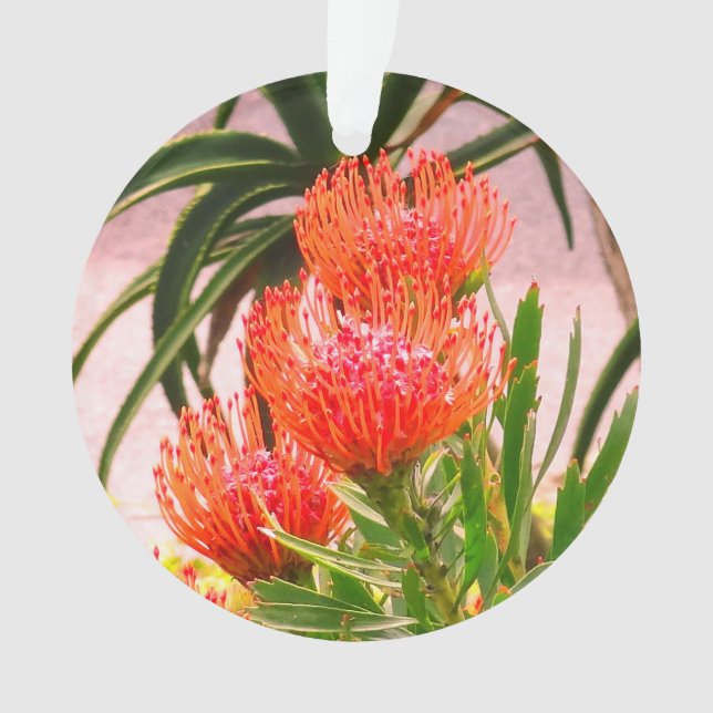 Ornamento de Tango Pincushion #1 (Anverso)