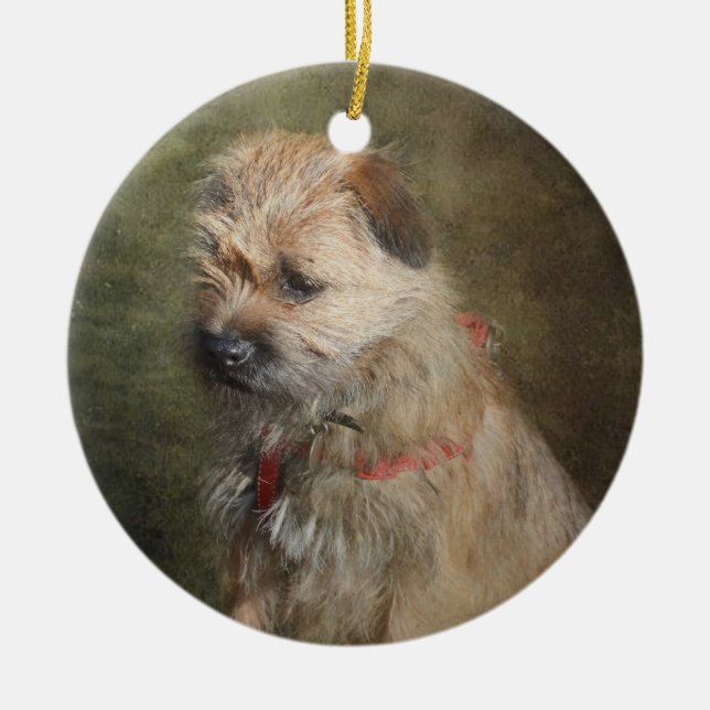 Ornamento de Terrier de frontera (Frente)