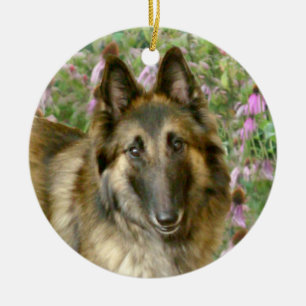 Ornamento de Tervuren Freidnship del belga